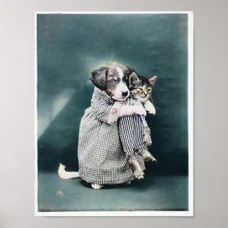 Die Krankenschwester Welpe Gekümmert für Kitten 19 Poster