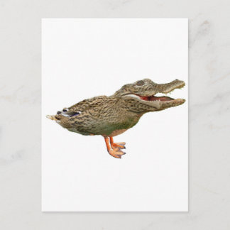 Die Krokodile mit Füßen Postkarte