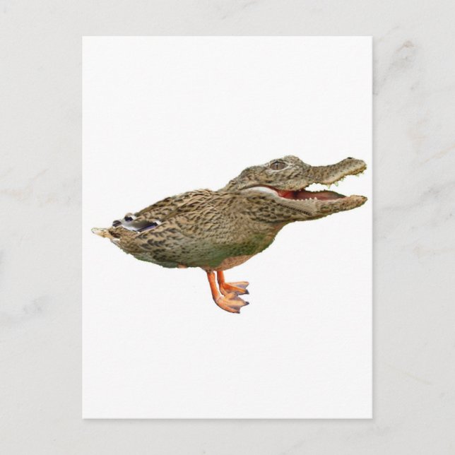 Die Krokodile mit Füßen Postkarte (Vorderseite)