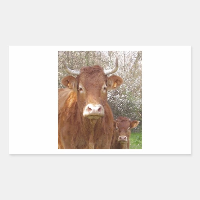 Die Kuh und ihr Kalb Rechteckiger Aufkleber (Vorderseite)