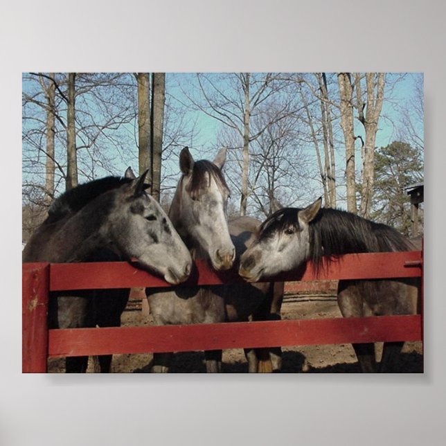 Die Kulisse Poster (Vorne)