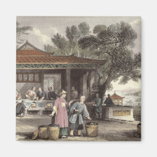 Die Kultur und Vorbereitung des Tees, von "China i Magnet