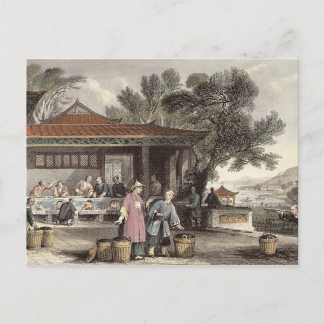 Die Kultur und Vorbereitung des Tees, von "China i Postkarte (Vorderseite)