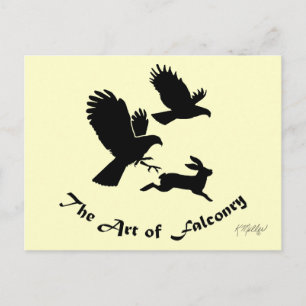 Die Kunst der Falknerei - Harris-Habichte Postkarte