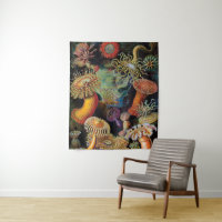 die Kunst der Natur durch Ernst Haeckel