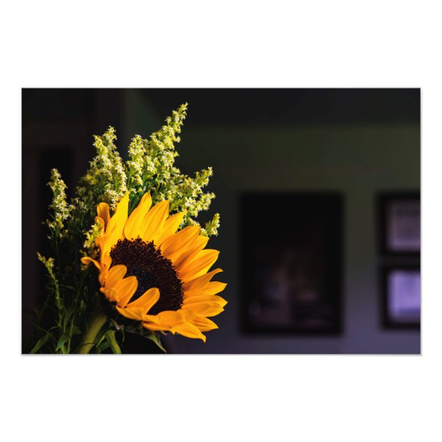 Die Kunst der Natur Fotodruck (Vorne)