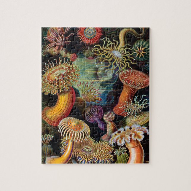 Die Kunst der Natur von Ernst Haeckel (Vertikal)