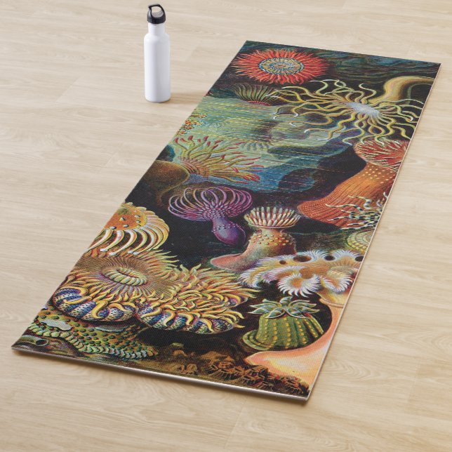 Die Kunst der Natur von Ernst Haeckel Yogamatte (Beispiel)