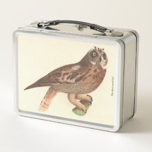 Die Kurze Eule (Otus palustris) New York Bird Metall Brotdose