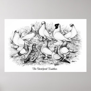 Die Kurzen Tumbler Poster