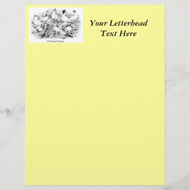 Die Kurzen Tumbler-Tauben (Vorderseite)