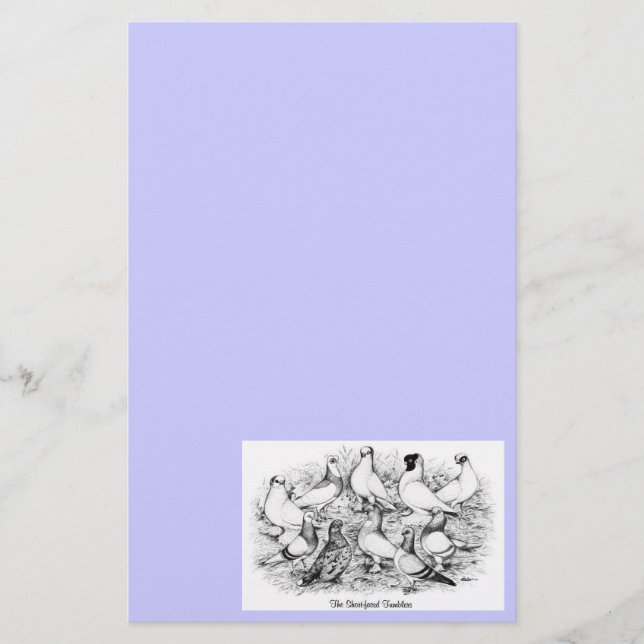 Die Kurzen Tumbler-Tauben Briefpapier (Vorderseite)