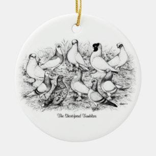 Die Kurzen Tumbler-Tauben Keramikornament