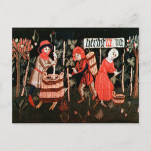Die Labors der Monate, aus dem Elsass Postkarte