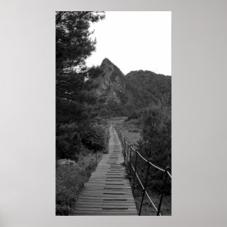 Die lange Reise Poster