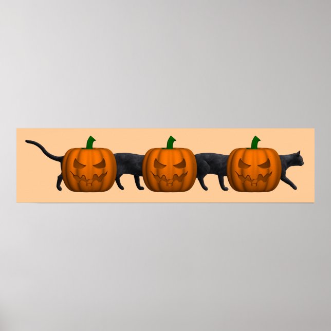 Die längste Katze der Welt Poster (Vorne)