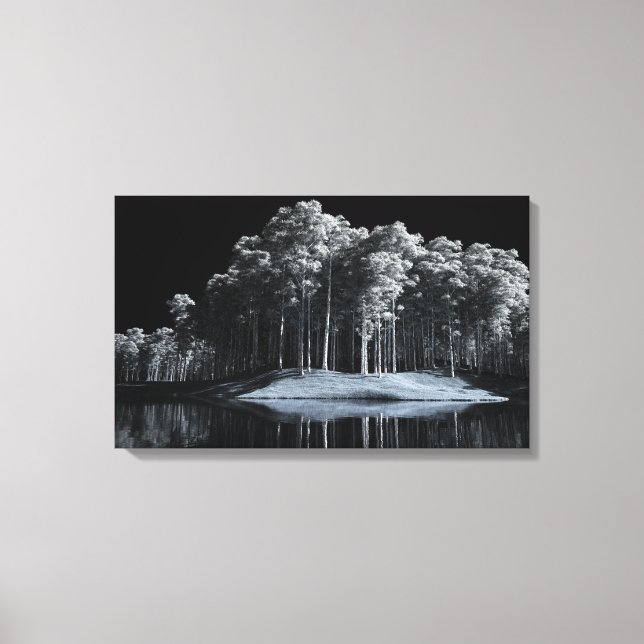 Die Leinwand aus weißem Holz (Nacht) (Vorderseite)