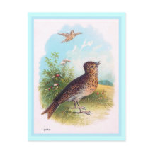 "Die Lerche" Vintage-Illustration
