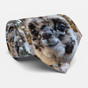 DIE LETZTE ALPACA KRAWATTE