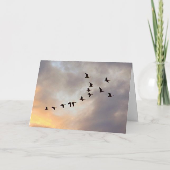 Die letzte Chemo Celebration Nature Card Karte (Vorderseite)