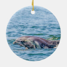Die Liebe-Delphin der Mutter u. Baby-Verzierung