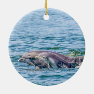Die Liebe-Delphin der Mutter u. Baby-Verzierung Keramik Ornament