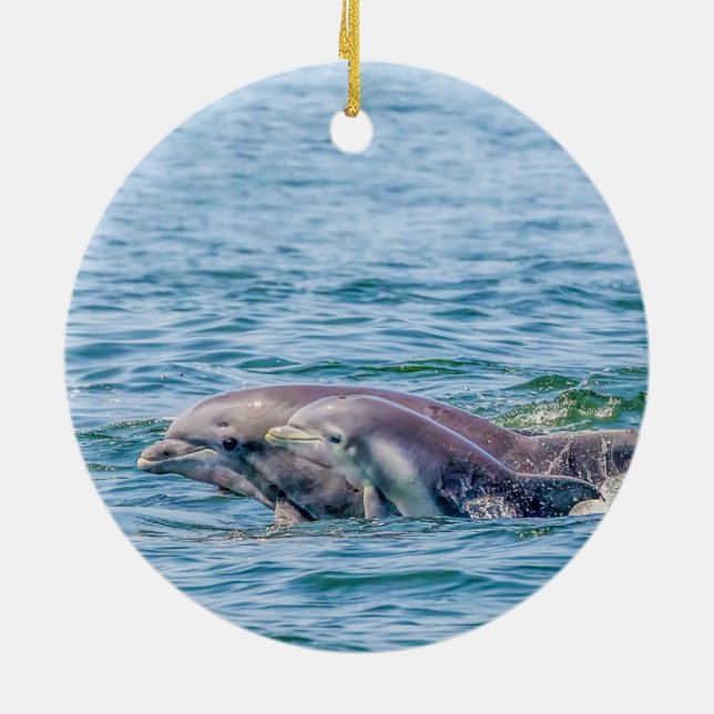 Die Liebe-Delphin der Mutter u. Baby-Verzierung Keramik Ornament (Hinten)