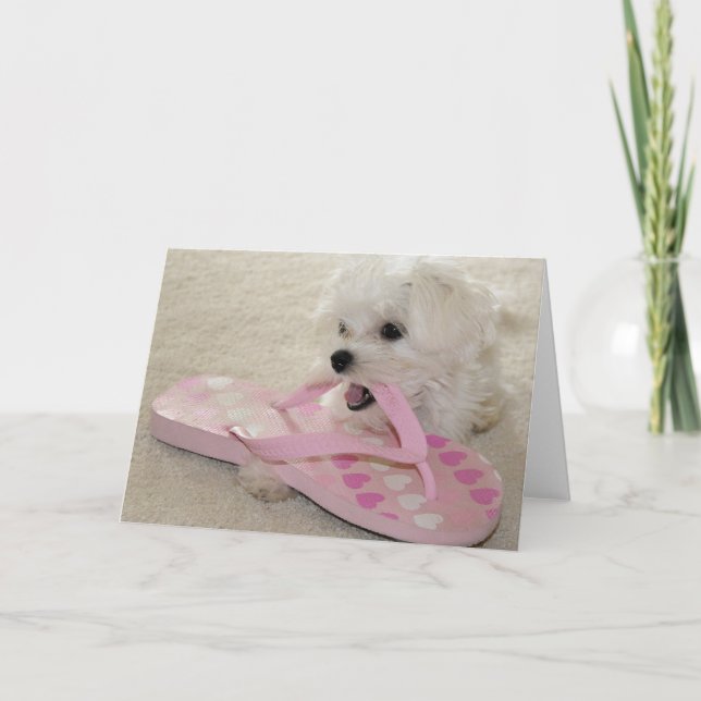 Die Liebe der Schuhe Karte (Vorderseite)