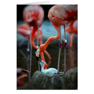 Die Liebe einer Mutter