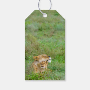 Die Liebe-Löwin-u. Baby-Geschenk-Umbau der Mutter Geschenkanhänger