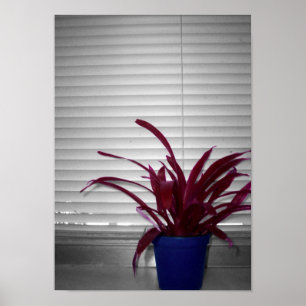 Die Lila Pflanze Poster