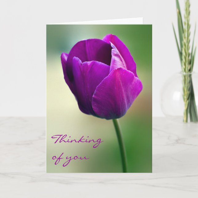Die lila Tulpe, die an Sie denkt, kardieren Karte (Vorderseite)