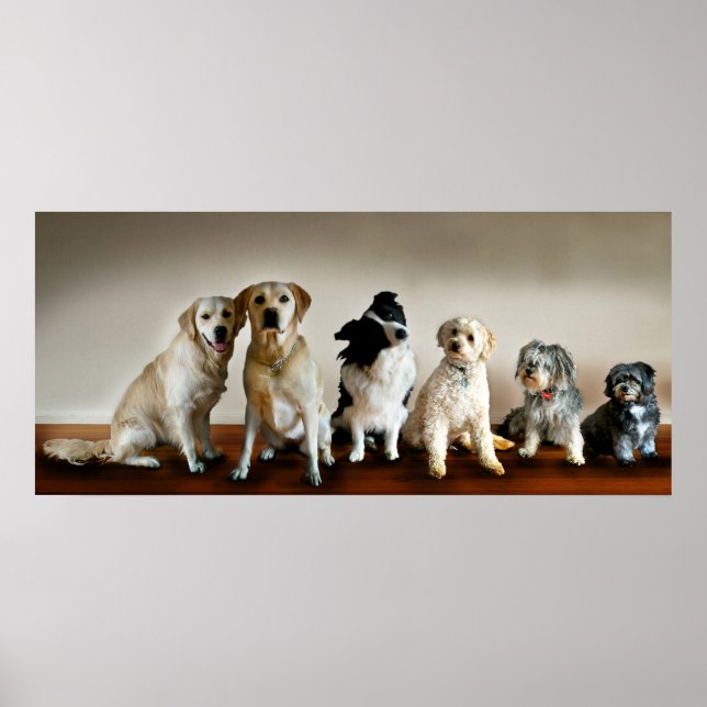 Die Linie Poster (Vorne)