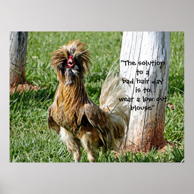 Die Lösung für einen schlechten Spaß Poster (Vorne)