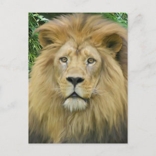 Die Löwen Postkarte