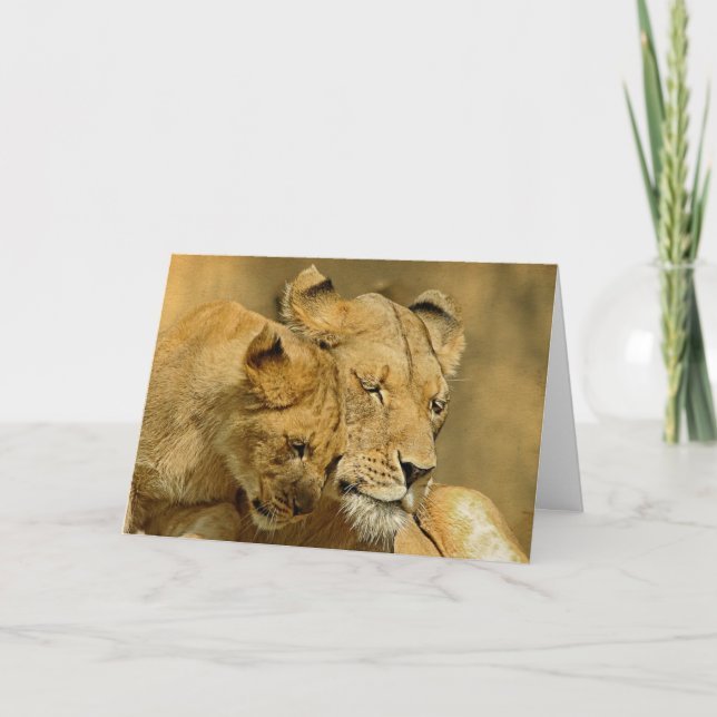 Die Löwin und die CUB-Karte Karte (Vorderseite)