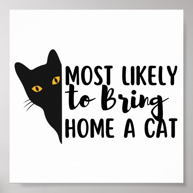 Die lustige schwarze Katze bringt höchstwahrschein Poster (Vorne)