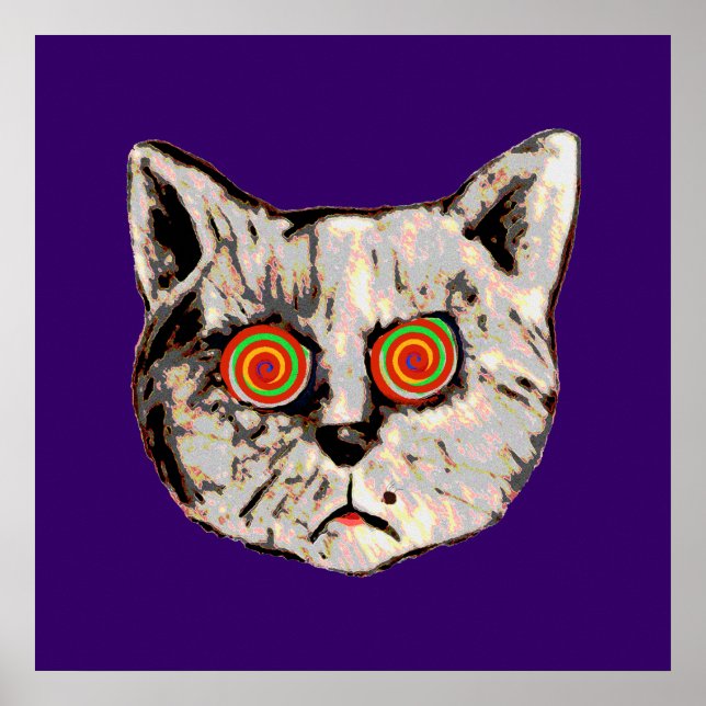 Die lustige verrückte Katze Poster (Vorne)