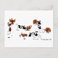 Die lustiges Pferdewilde