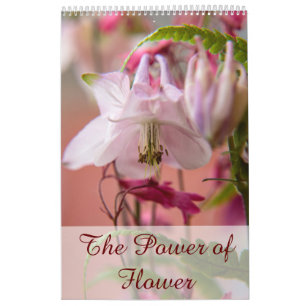 Die Macht der Blume Kalender