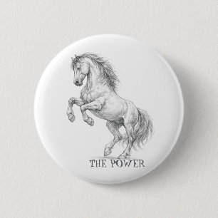 Die Macht des Hengstes Majestätisches Pferd Graf Button