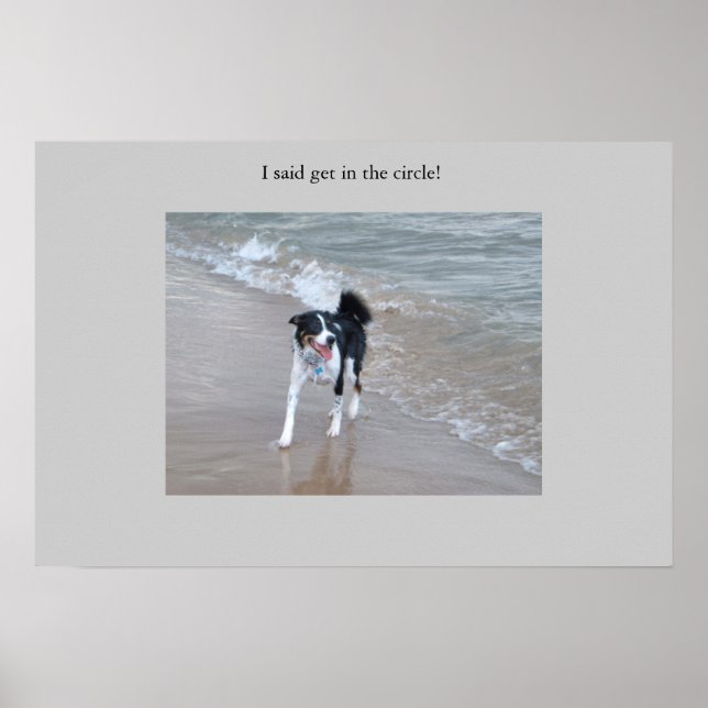 Die mächtige Collie Poster (Vorne)