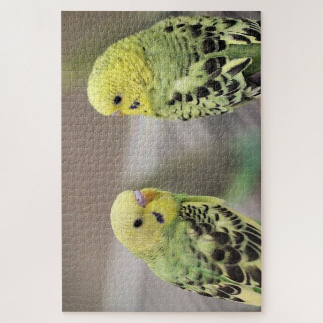 Die Mädchen (Vertikal)