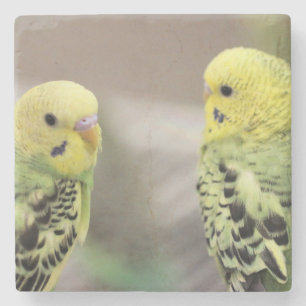 Die Mädchen Steinuntersetzer