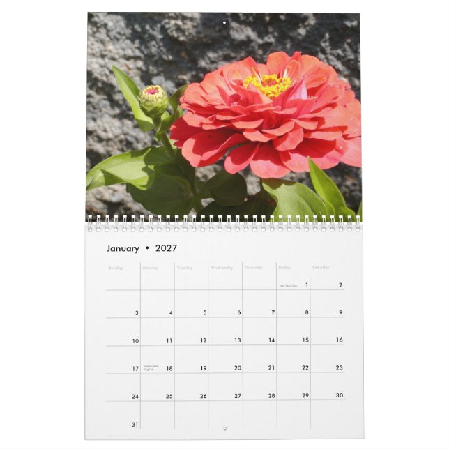 die Mädchen und der Garten, Vol. 4 Kalender (Jan 2027)