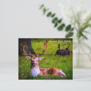 Die Majestät der Natur im Phoenixpark Feiertagspostkarte