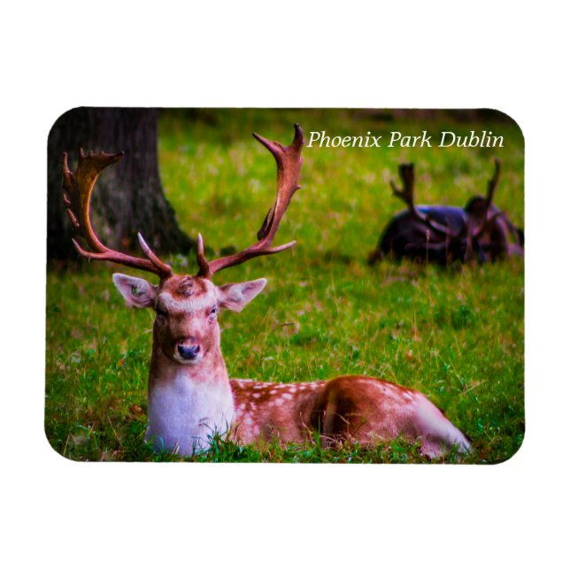 Die Majestät der Natur im Phoenixpark Magnet (Horizontal)