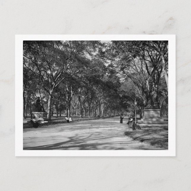 Die Mall im Central Park in New York City Postkarte (Vorderseite)