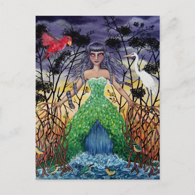 Die Mangroven Postkarte (Vorderseite)