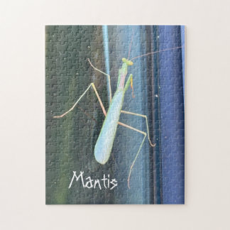 Die Mantis